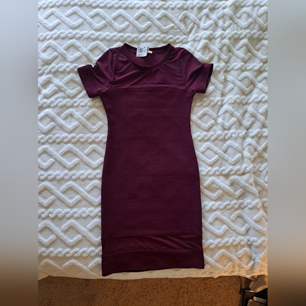 Elegant Burgundy Dress